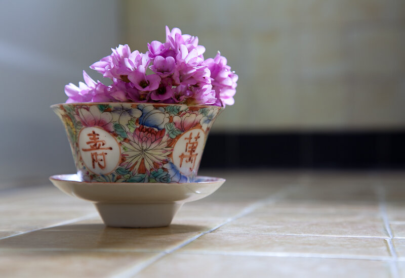 Purple Flowers in Teacup — Serene