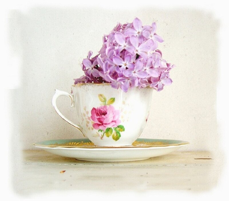 Purple Flowers in Teacup — White