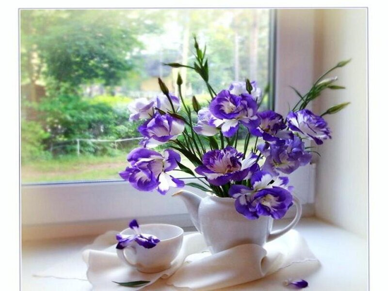 Purple Flowers in Teapot