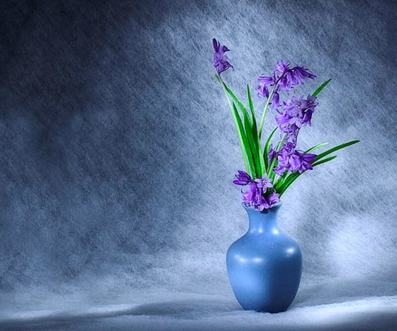 Purple Flowers in Vase — Blue, Serene