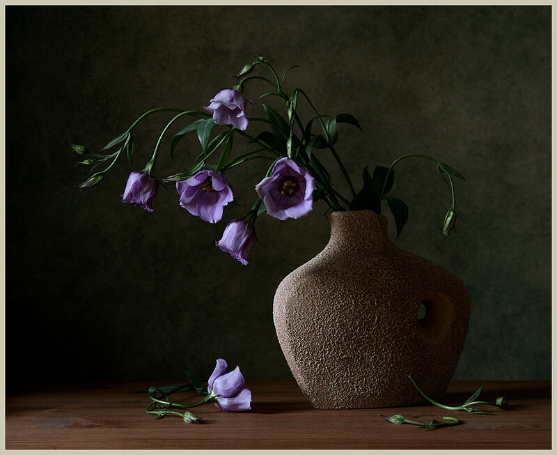 Purple Flowers in Vase — Brown
