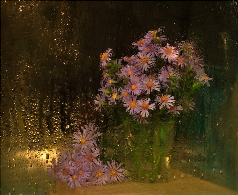 Purple Flowers in Vase — Calm, Night