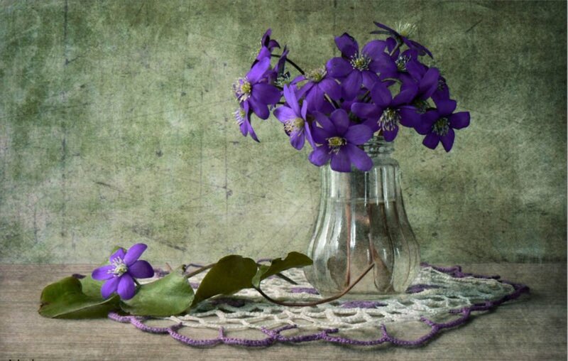 Purple Flowers in Vase — Calm, Photograph, Doily
