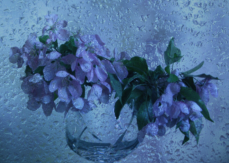 Purple Flowers in Vase — Calm, Photograph, Leaves