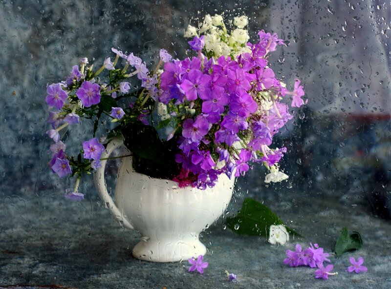Purple Flowers in Vase — Calm, Photograph