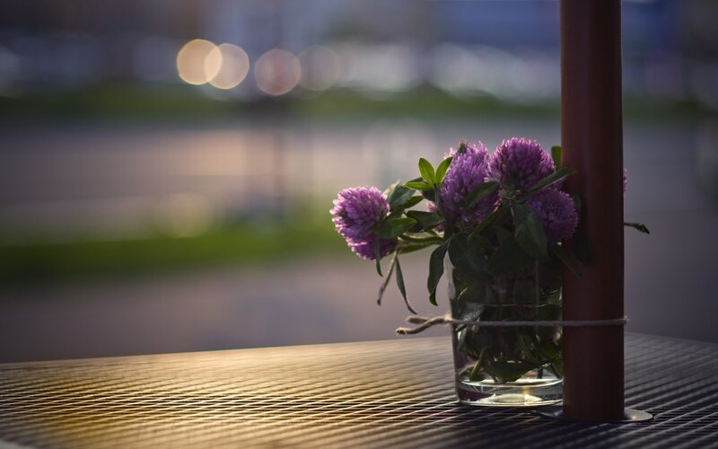 Purple Flowers in Vase — Calm, Sunset