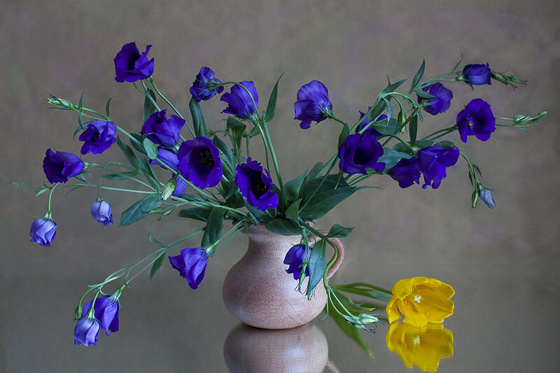 Purple Flowers in Vase — Calm