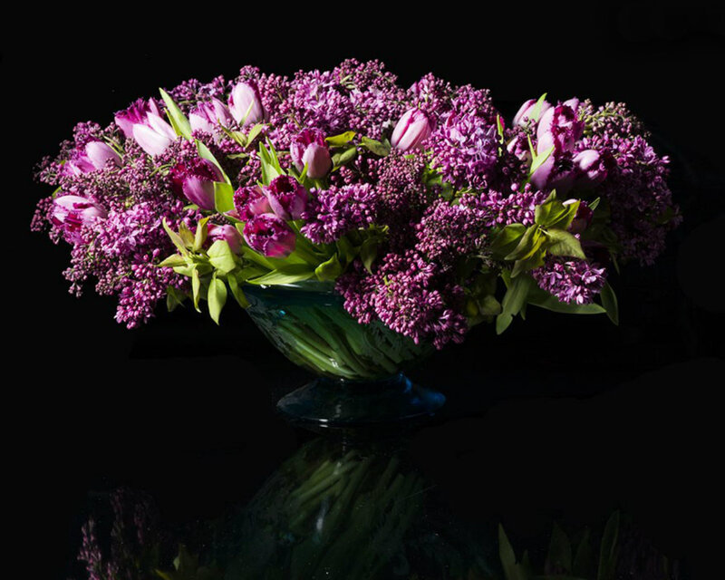 Purple Flowers in Vase — Dramatic, Photograph, Green Leaves