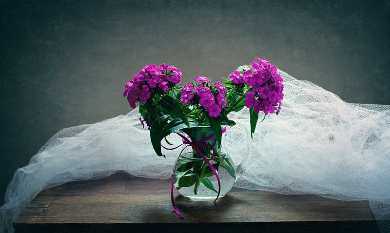 Purple Flowers in Vase — Dramatic, Photograph, Lace