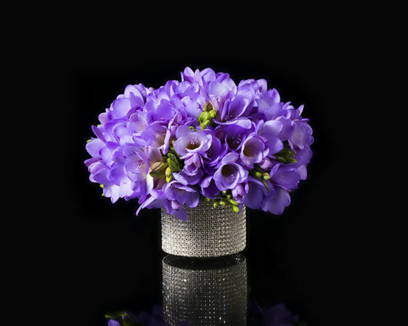Purple Flowers in Vase — Dramatic, Photograph, Reflection