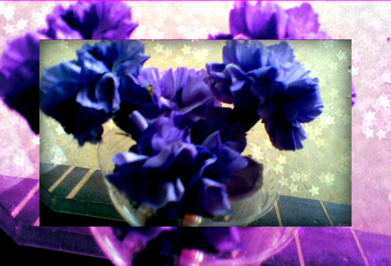 Purple Flowers in Vase — Dreamy