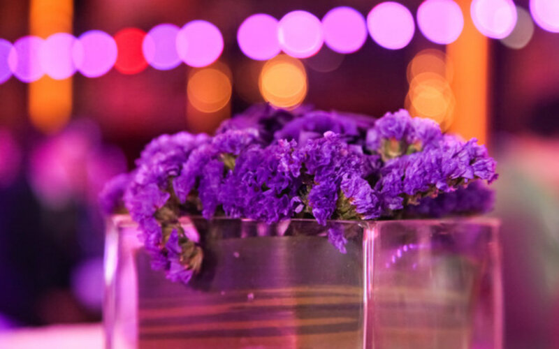 Purple Flowers in Vase — Festive