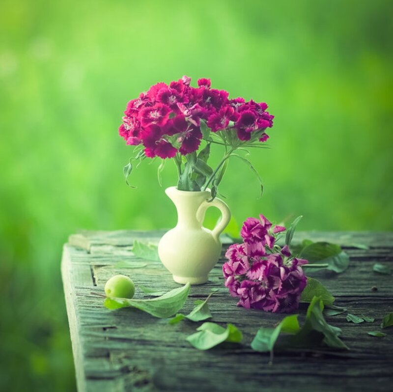 Purple Flowers in Vase — Green, Serene