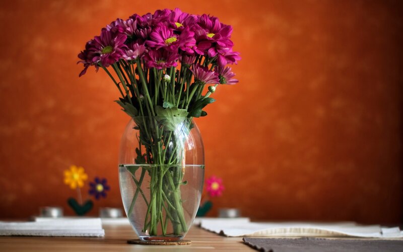 Purple Flowers in Vase — Orange