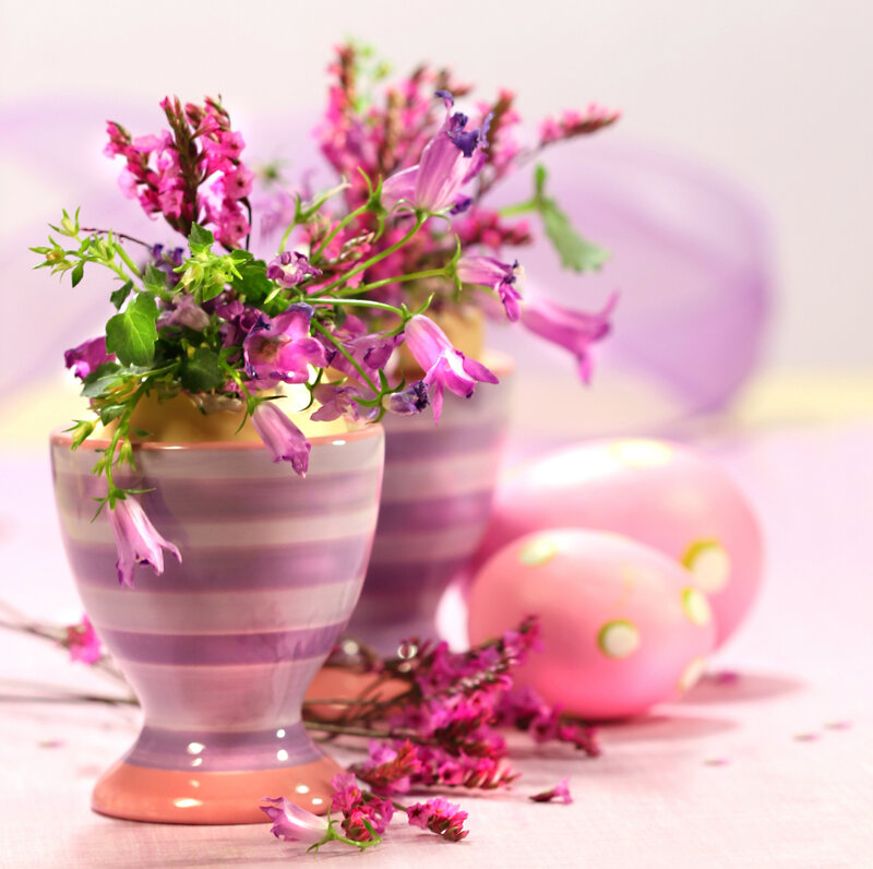 Purple Flowers in Vase — Pink, Calm
