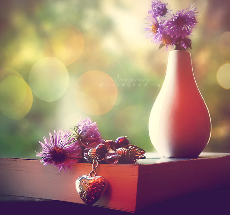 Purple Flowers in Vase — Serene, Afternoon, Photograph