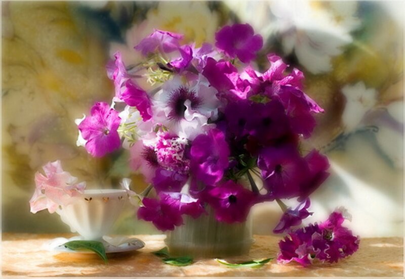 Purple Flowers in Vase — Serene, Afternoon