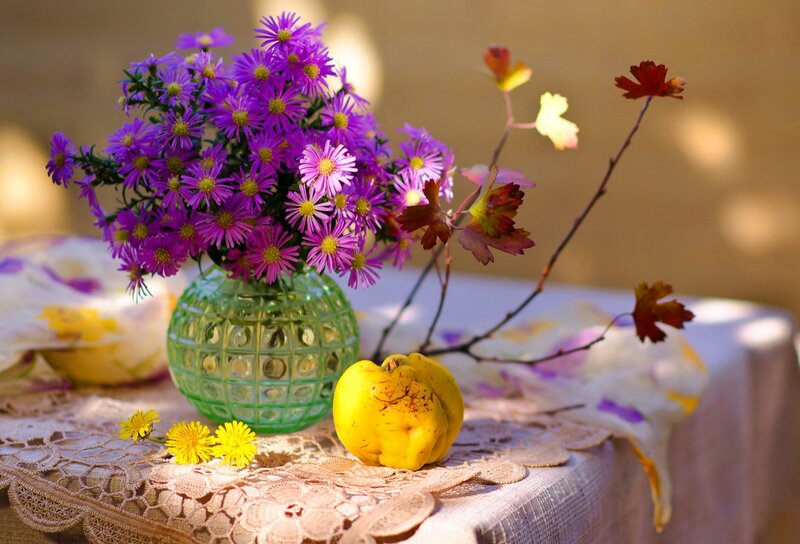Purple Flowers in Vase — Serene, Autumn