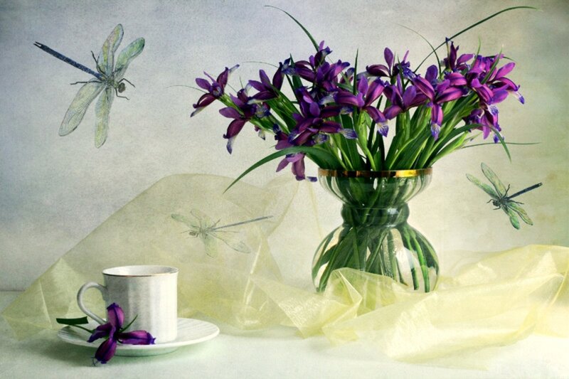 Purple Flowers in Vase — Serene, Illustration