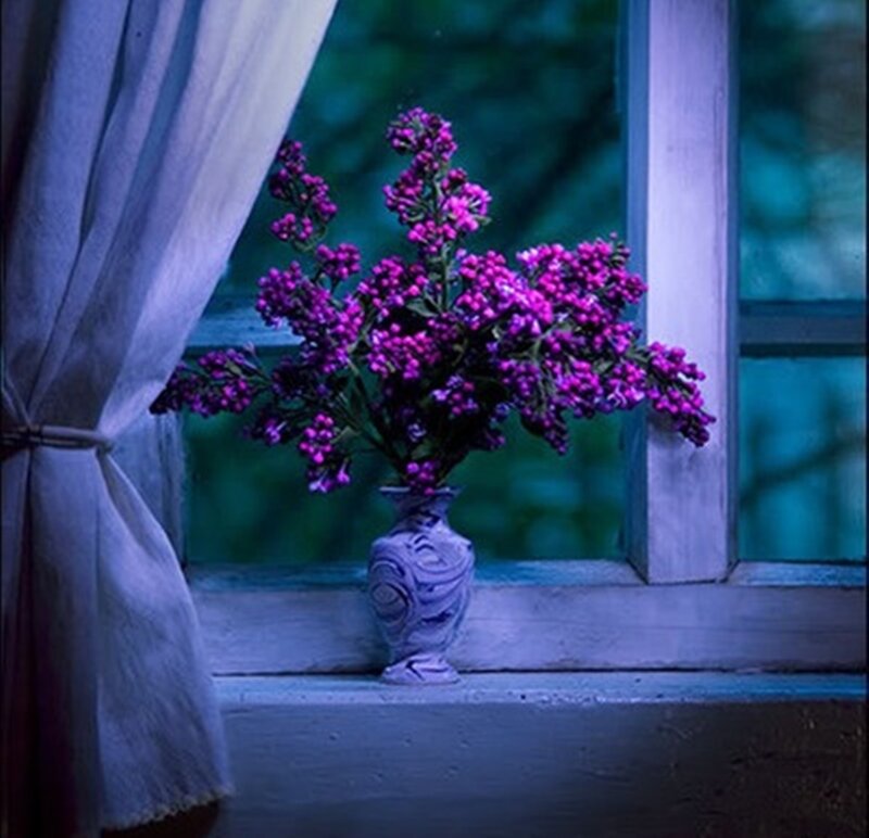 Purple Flowers in Vase — Serene, Night