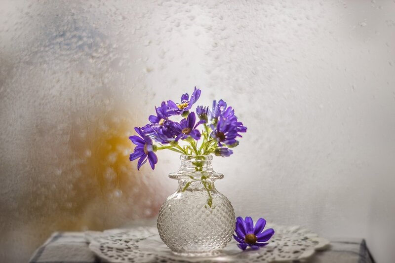 Purple Flowers in Vase — Serene, Photograph, Doily
