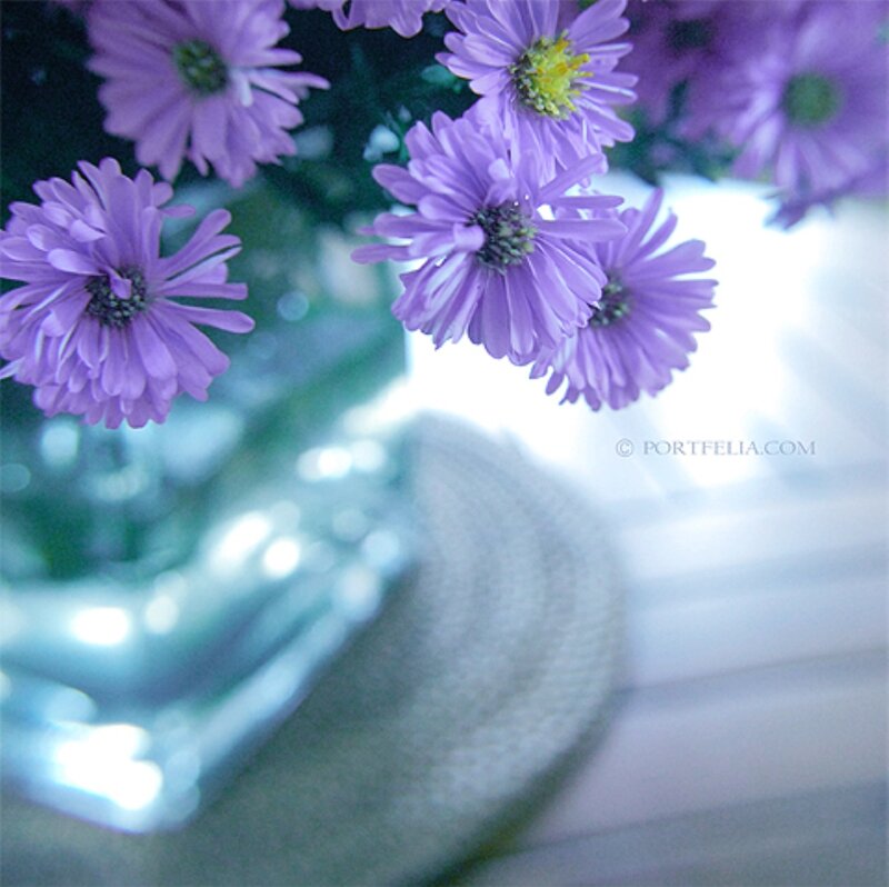 Purple Flowers in Vase — Serene, Photograph, Table, Light