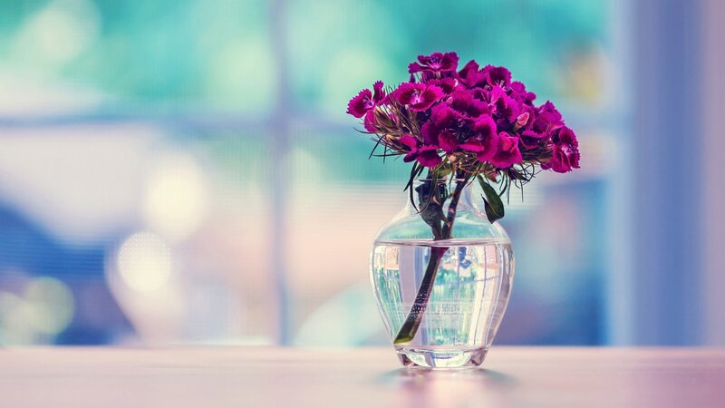 Purple Flowers in Vase — Serene, Photograph, Table, Window