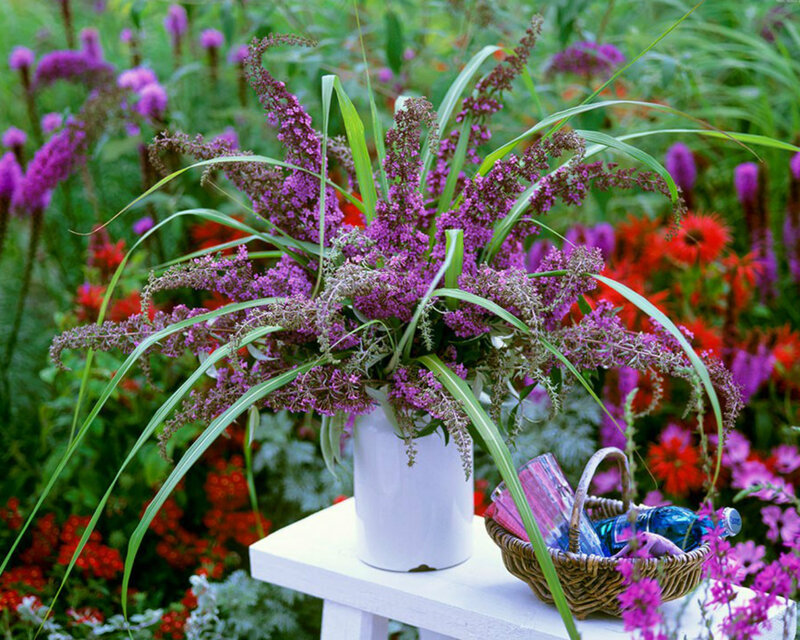 Purple Flowers in Vase — Serene, Summer