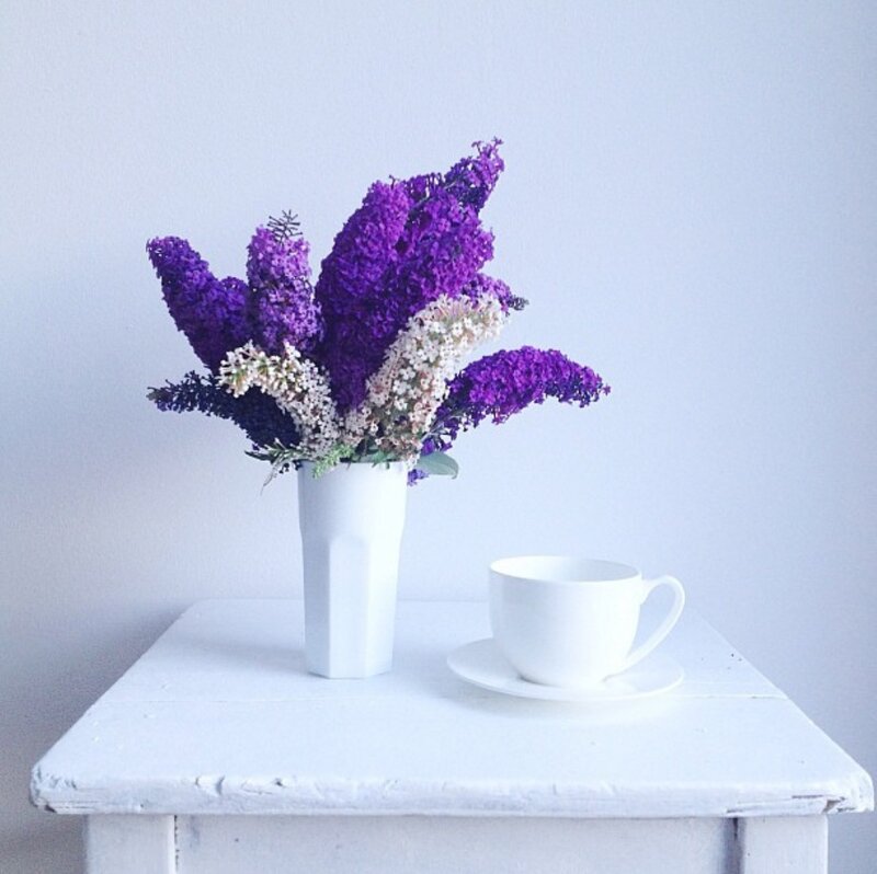 Purple Flowers in Vase — White
