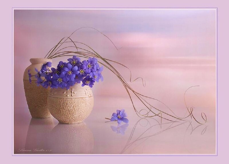 Purple flowers in vases
