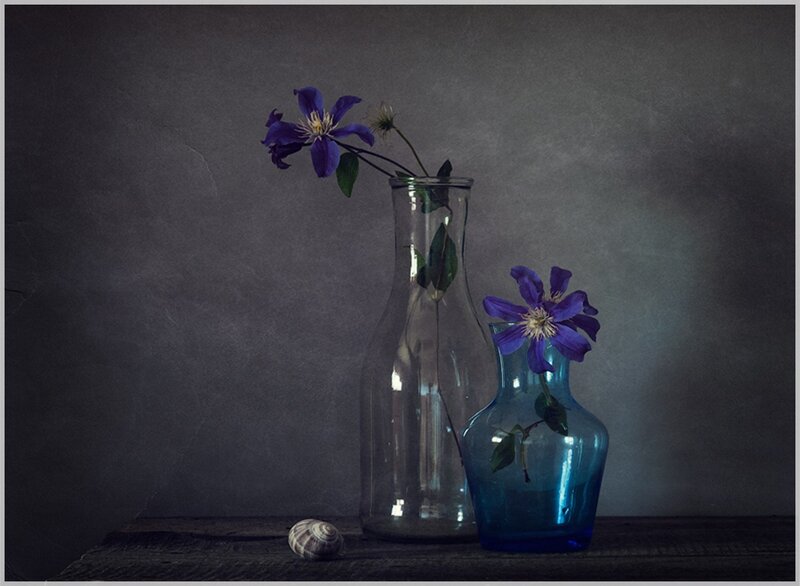 Purple Flowers in Vases — Blue, Dramatic, Photograph