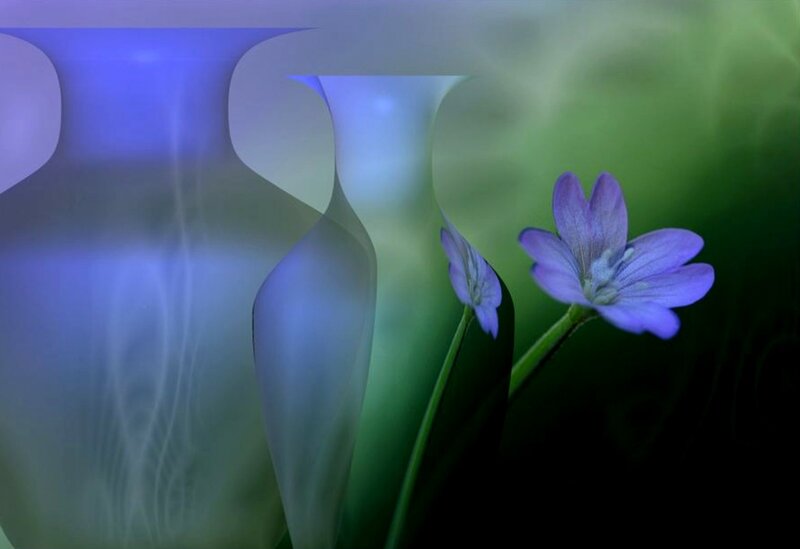 Purple Flowers in Vases — Blue, Serene