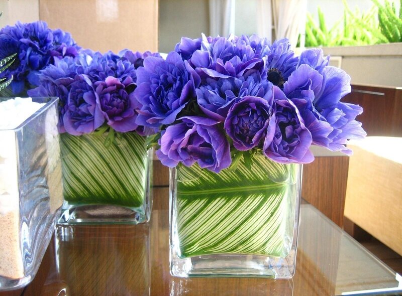 Purple Flowers in Vases — Calm, Afternoon, Photograph