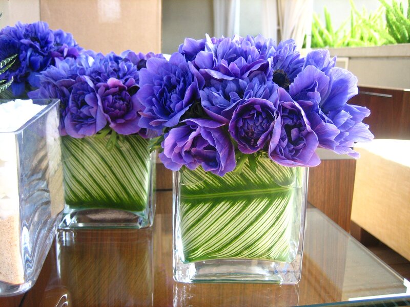 Purple Flowers in Vases — Calm, Afternoon