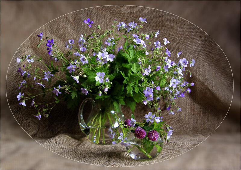 Purple Flowers in Vases — Calm, Photograph