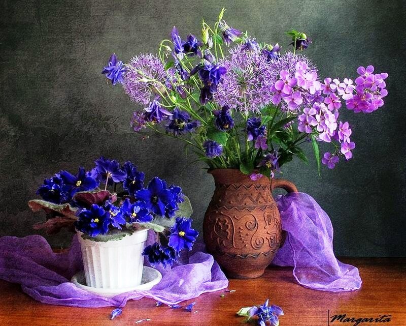 Purple Flowers in Vases — Calm, Photograph, Vase