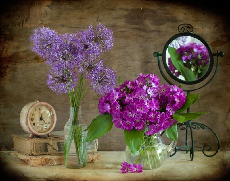 Purple Flowers in Vases — Calm