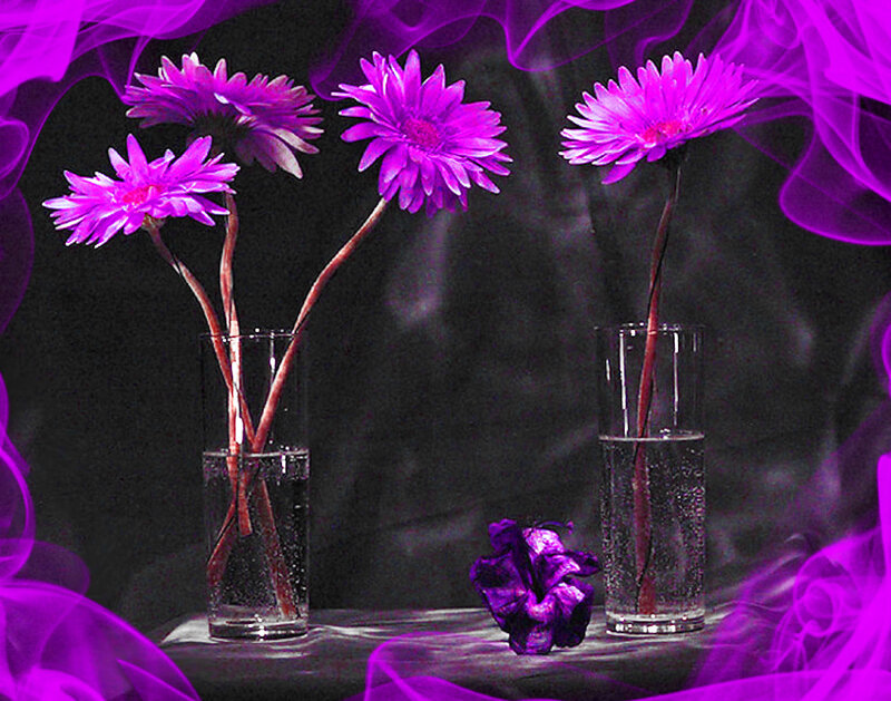 Purple Flowers in Vases — Dramatic, Digital Art