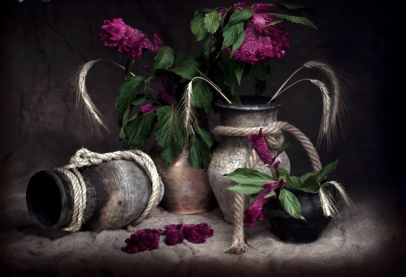 Purple Flowers in Vases — Dramatic