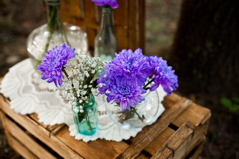 Purple Flowers in Vases — Serene, Afternoon