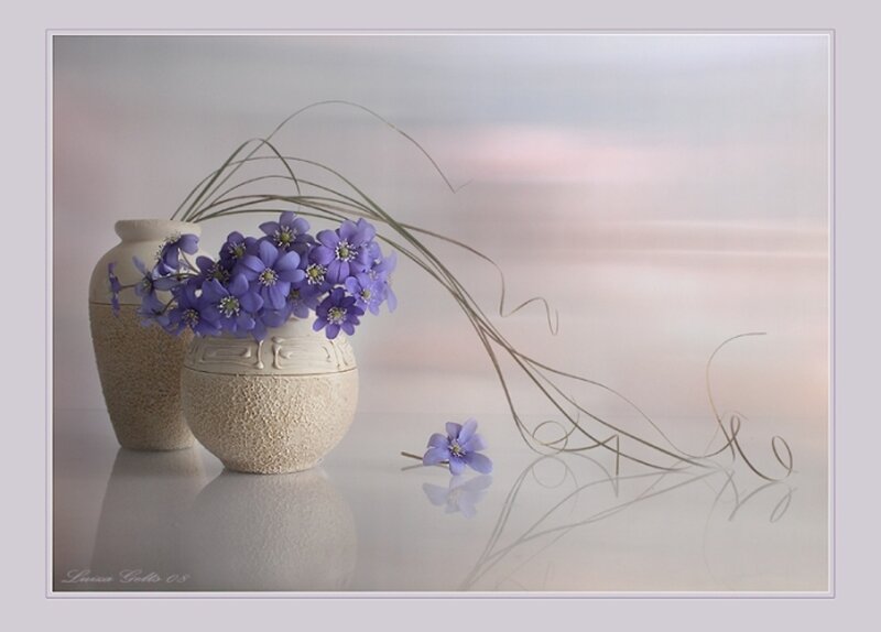 Purple Flowers in Vases — Serene, Photograph, Grass