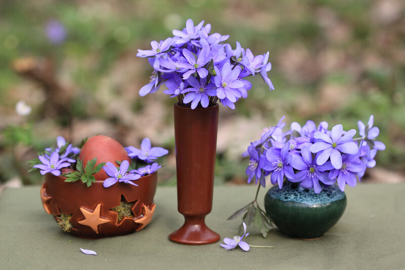 Purple Flowers in Vases — Serene, Spring