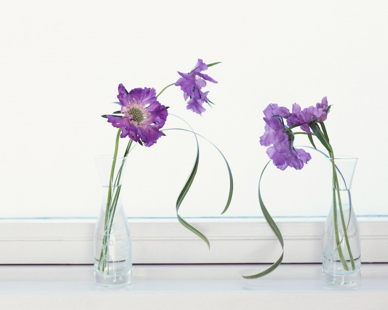 Purple flowers in vases