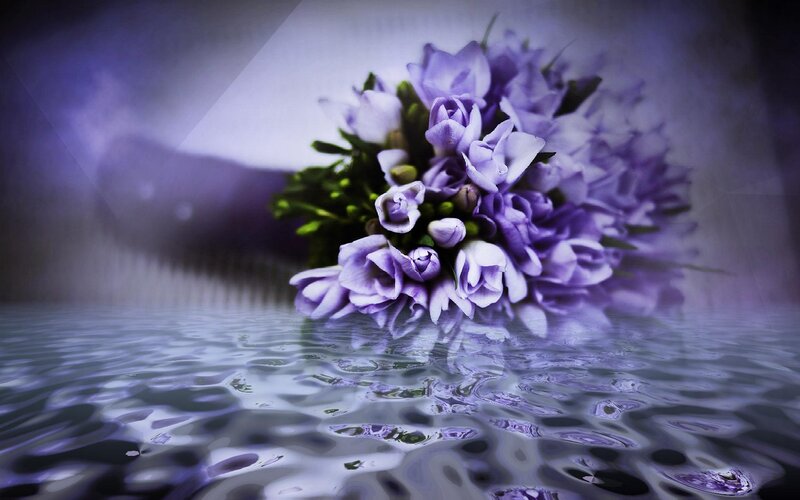 Purple Flowers in Water — Serene, Digital Art