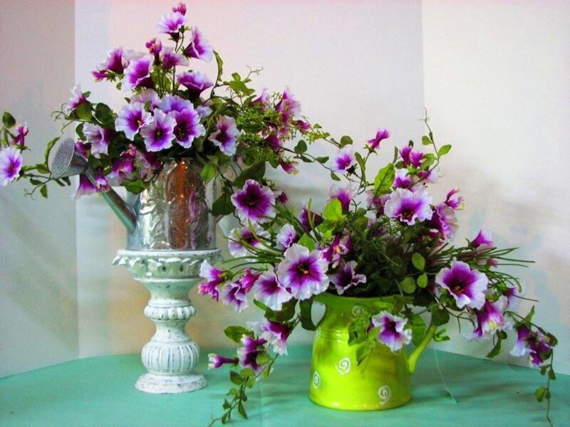Purple Flowers in Watering Cans
