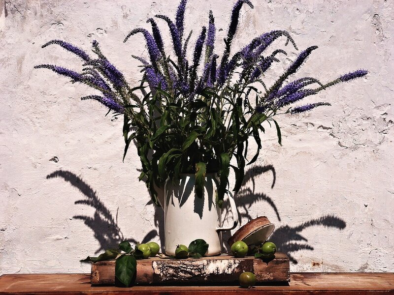Purple Flowers in White Pitcher — Serene