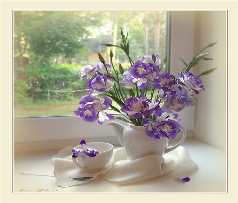 Purple Flowers in White Pitcher
