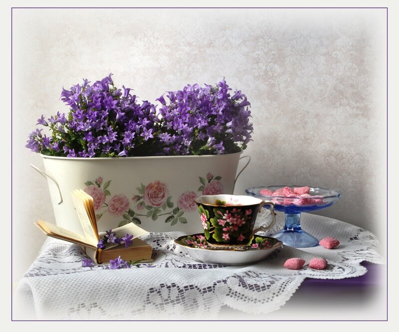 Purple Flowers in White Pot — Serene