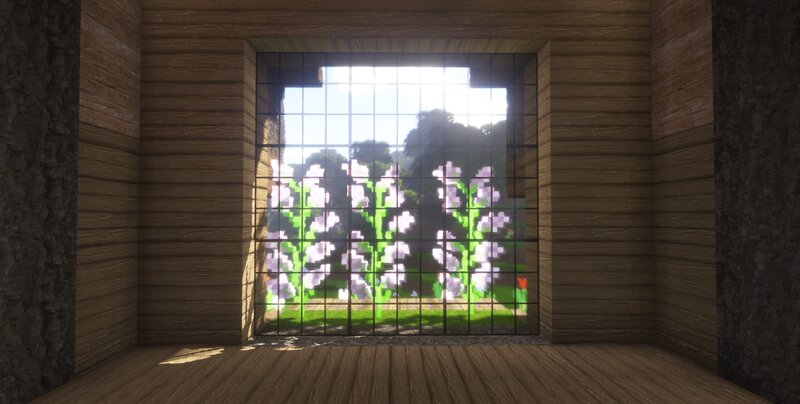 Purple Flowers in Window
