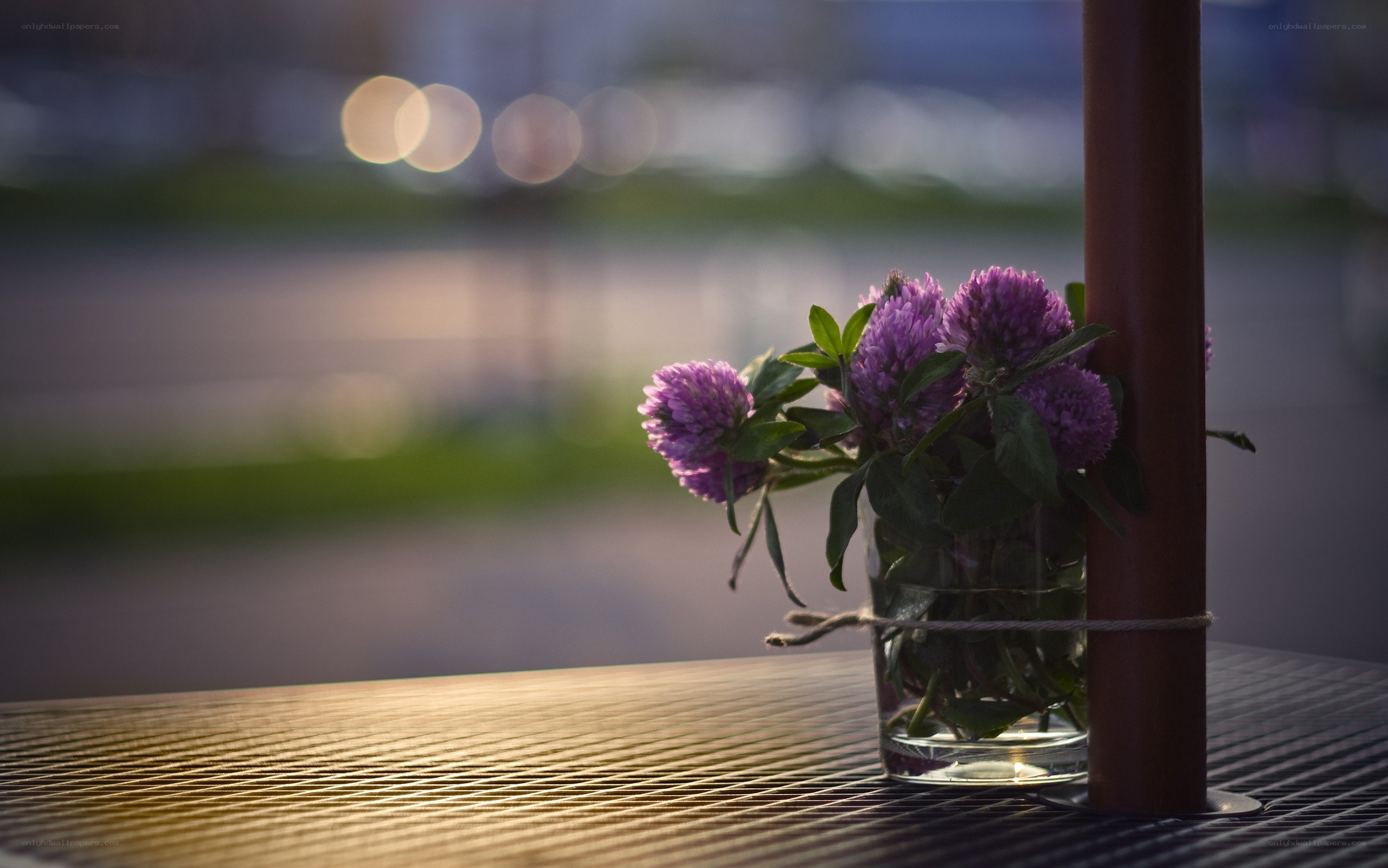 Purple flowers on a table